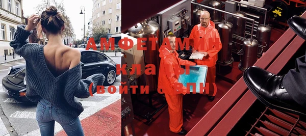 ГАЛЛЮЦИНОГЕННЫЕ ГРИБЫ Балахна