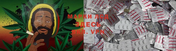 ГАЛЛЮЦИНОГЕННЫЕ ГРИБЫ Балахна
